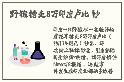 小扫货水怎么这么多视频
